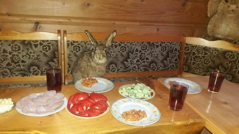 סטרישאבה Goralska Czarcia Chata Pod Jalowcem מראה חיצוני תמונה